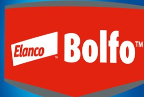 Bolfo